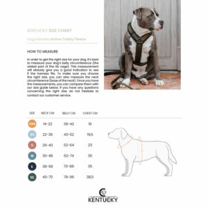 DW_size_chart_active_teddy_fleece