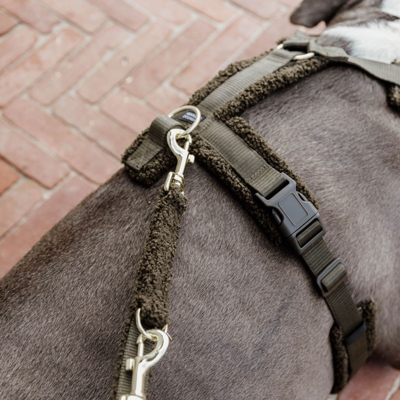 Kentucky Dogwear Dog Harness Active Teddy Fleece 5 Kentucky Dogwear Active Harness Teddy Fleece