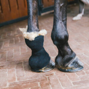 Kentucky Horsewear Therapeutic Wool