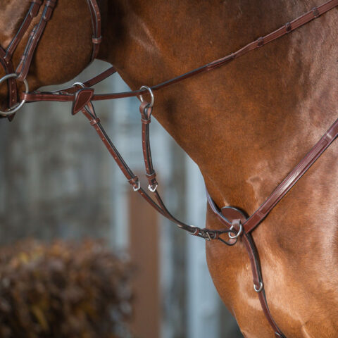 Dy'on New English Running Martingale Attachment