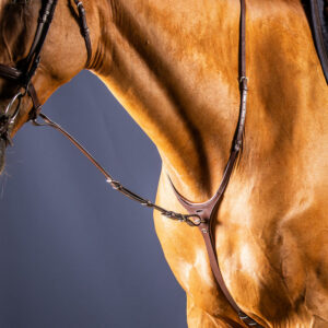 Dy'on New English Standing Martingale Attachment