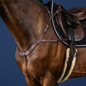 Dy'on US Collection Anatomic Breastplate