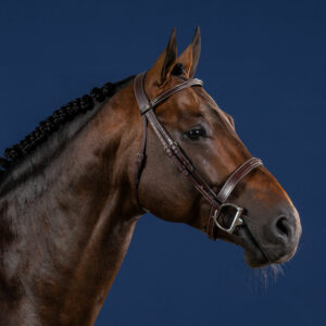 Dy'on US Collection Cavesson Hunter Noseband Bridle