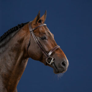 US Collection Hunter Cavesson Noseband Bridle