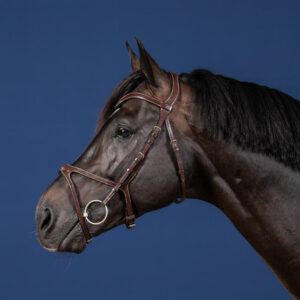 Dy'on US Collection X-Fit Bridle