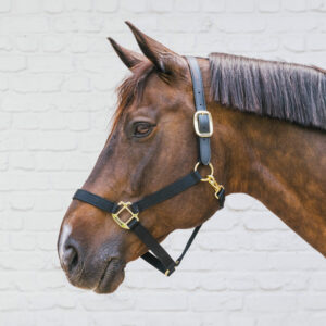 Kentucky Horsewear Nylon Breakaway Halter