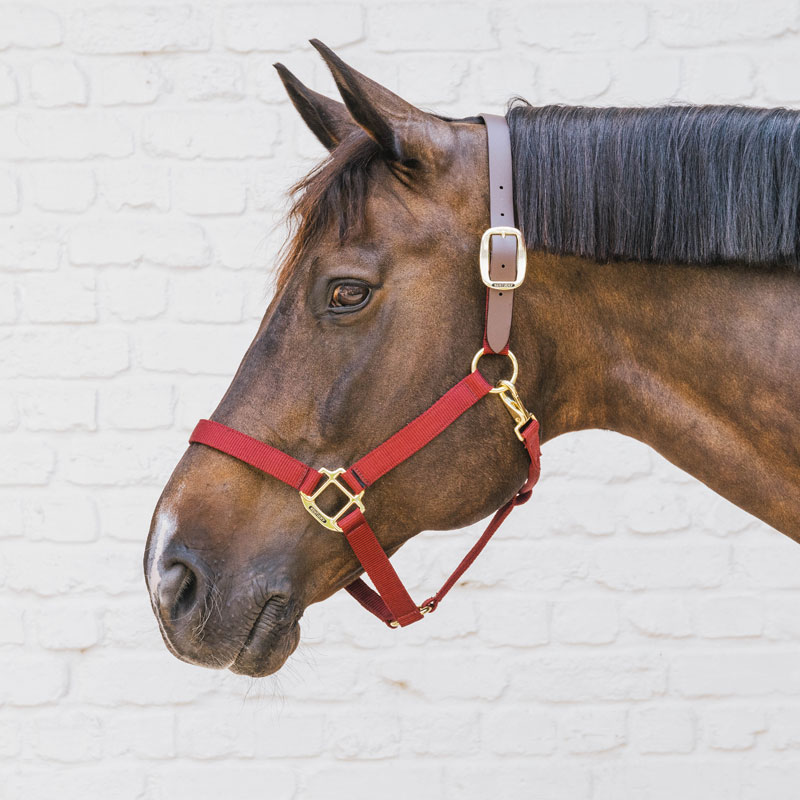 Kentucky Horsewear Nylon Breakaway Halter 3 Kentucky Horsewear Nylon Breakaway Halter