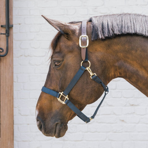 Kentucky Horsewear Nylon Breakaway Halter