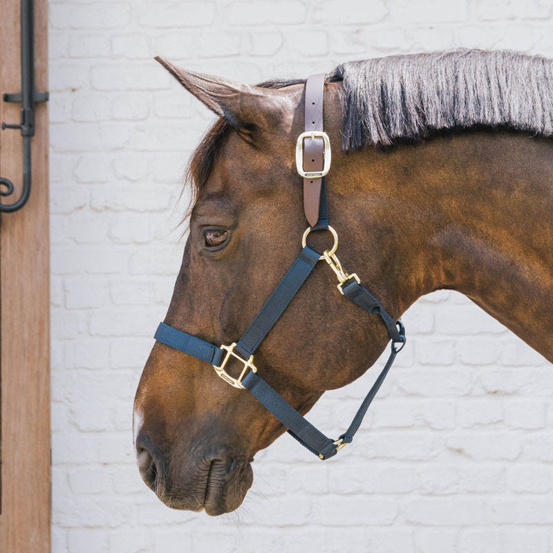Kentucky Horsewear Nylon Breakaway Halter 1 Kentucky Horsewear Nylon Breakaway Halter