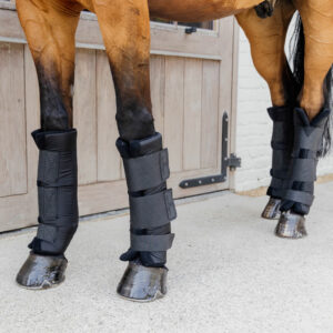 Stable Boots PROtect Classic