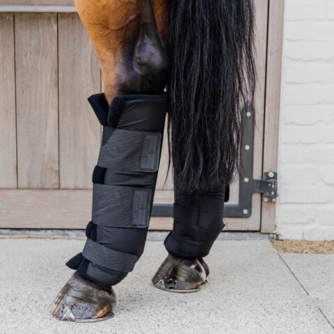 Stable Boots PROtect Classic Hind
