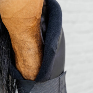 Stable Boots PROtect Long Hind 2