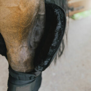 Transport Stable Bandage Pad with Hock Protection