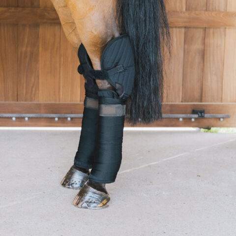 Transport Stable Bandage Pad with Hock Protection