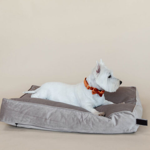 Kentucky Dogwear Velvet Dog Bed Pillow