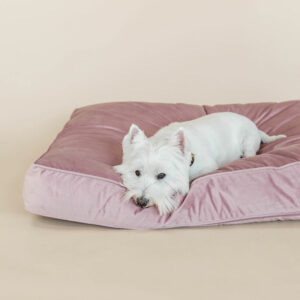 Kentucky Dogwear Velvet Dog Bed Pillow