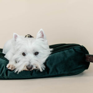 Kentucky Dogwear Velvet Dog Bed Pillow