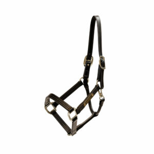 Kentucky Horsewear Leather Halter Wellington