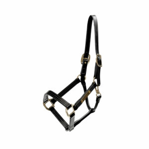 Kentucky Horsewear Leather Halter Wellington