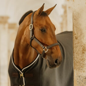 Kentucky Horsewear Leather Halter Wellington