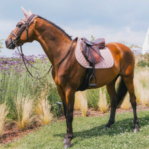 Saddle Pad Onion Quilt Rubber Logo Jumping Light Pink Horse