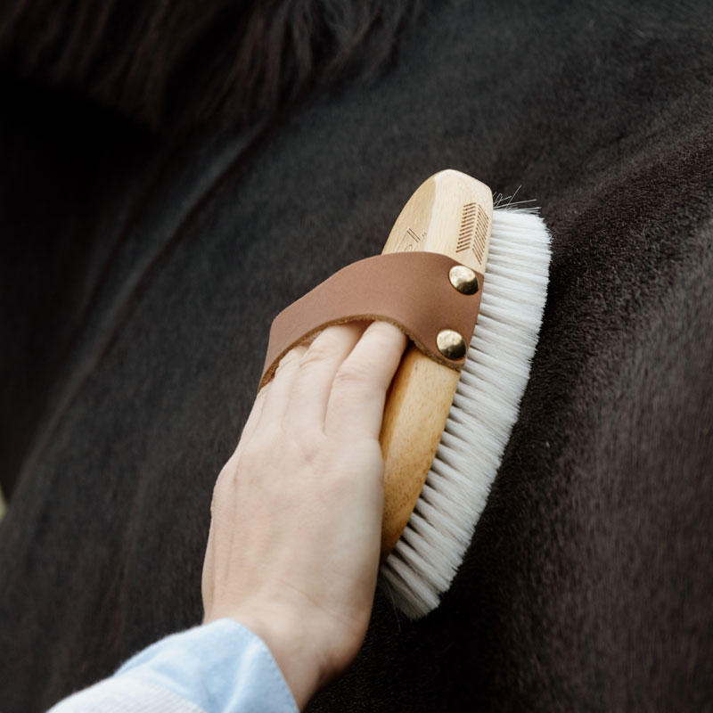 Grooming Deluxe Small Overall Brush Soft 2 Grooming Deluxe Small Overall Brush Soft