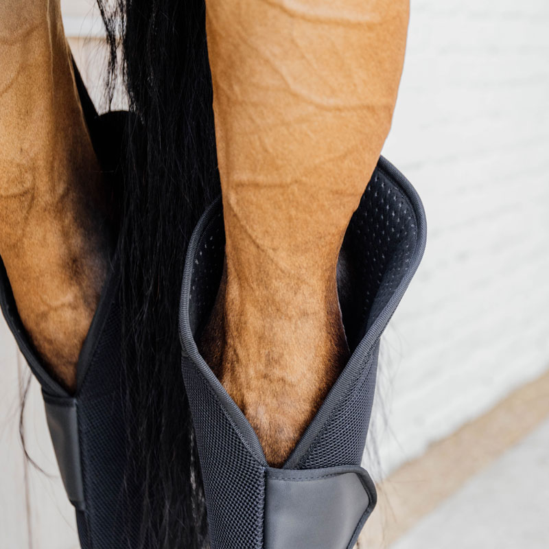 Kentucky Horsewear 3D Spacer Travel Boots Hind 3 Kentucky Horsewear 3D Spacer Travel Boots Hind