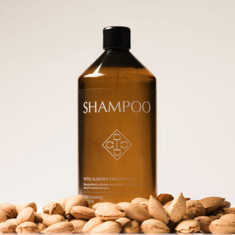 Almond Gloss Shampoo