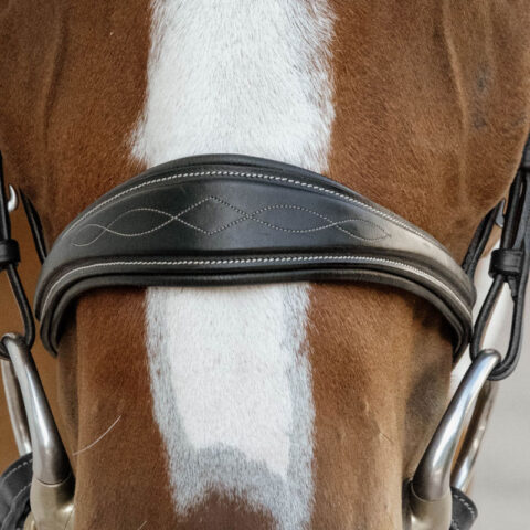 Dy'on Collection Anatomic Noseband without Flash