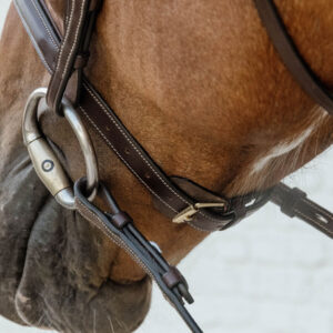 Dy'on Collection Anatomic Noseband without Flash