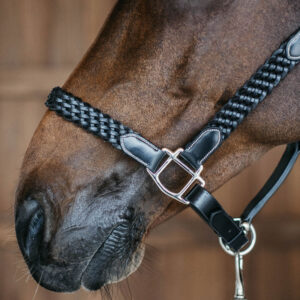 Dy'on Working Collection Plaited Headcollar