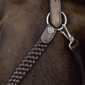 Dy'on Working Collection Plaited Headcollar