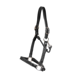 Dy'on Working Collection Plaited Headcollar