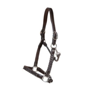 Dy'on Working Collection Plaited Headcollar