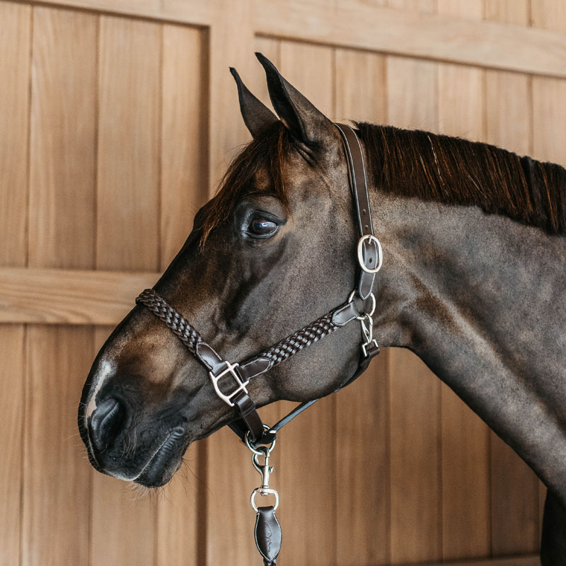 Dy'on Working Collection Plaited Headcollar 1 Dy'on Working Collection Plaited Headcollar