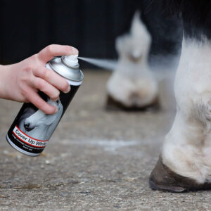 Smart Grooming Cover Up Spray