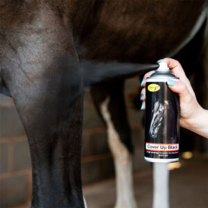 Smart Grooming Cover Up Spray