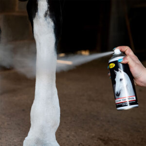 Smart Grooming Cover Up Spray