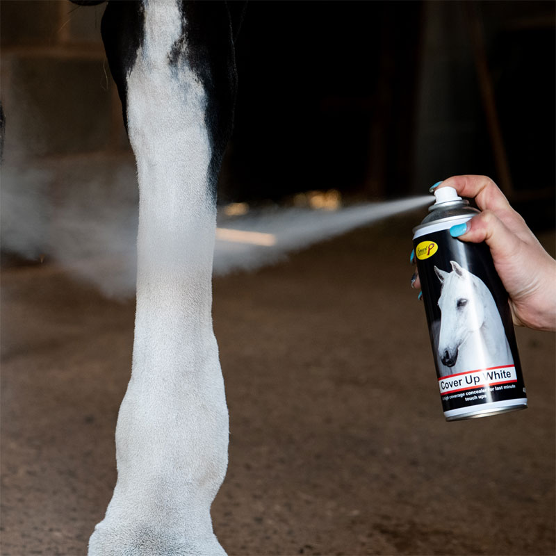 Smart Grooming Cover Up Spray 1 Smart Grooming Cover Up Spray