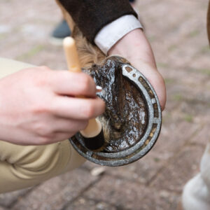 Smart Grooming Hoof Shine