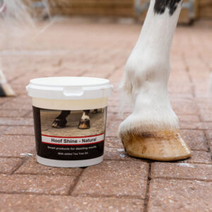 Smart Grooming Hoof Shine