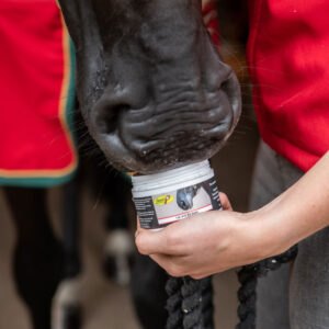 Smart Grooming Lip and Bit Balm