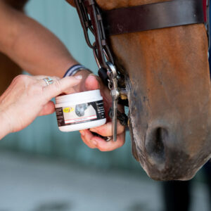 Smart Grooming Lip and Bit Balm