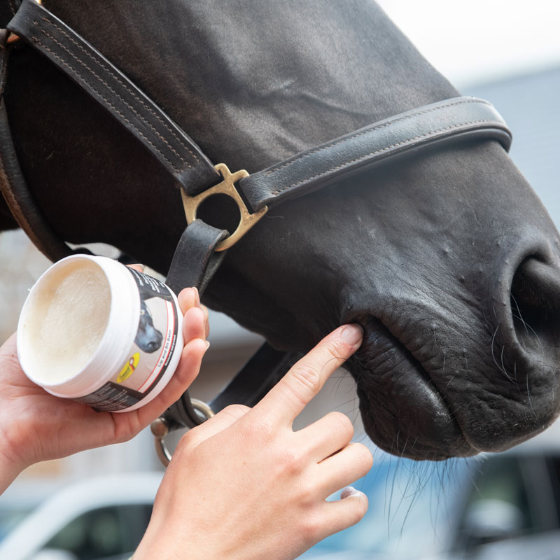 Smart Grooming Lip and Bit Balm 1 Smart Grooming Lip and Bit Balm