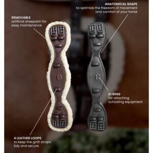 Anatomic-Short-Girth