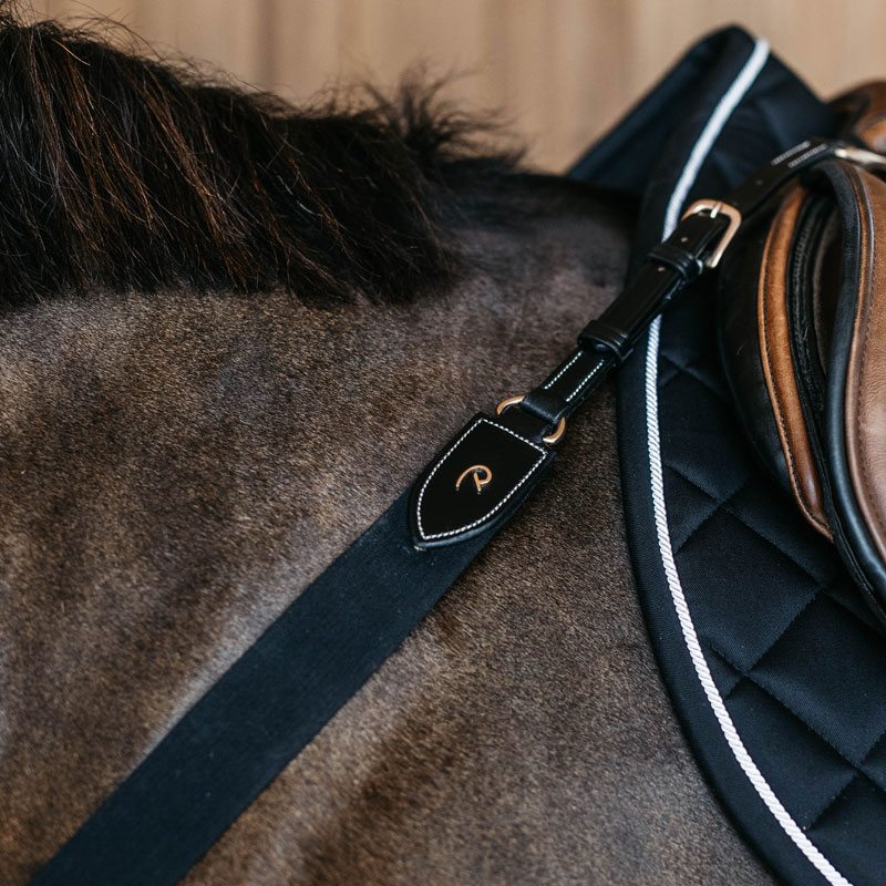 Dy'on Collection Elastic Breastplate 4 Dy'on Collection Elastic Breastplate - Image 4