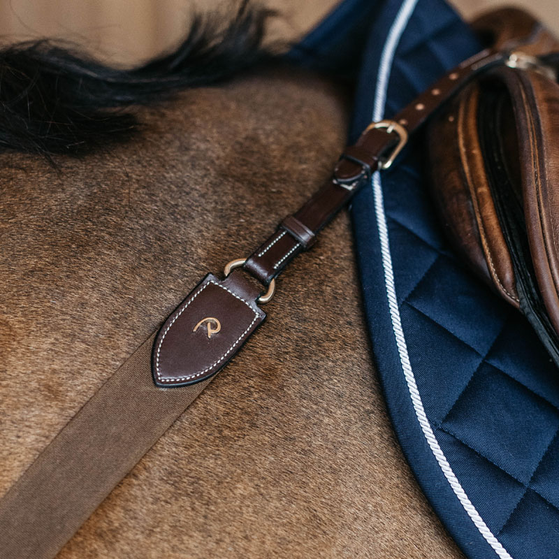 Dy'on Collection Elastic Breastplate 5 Dy'on Collection Elastic Breastplate - Image 5