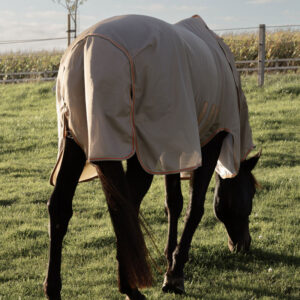 Kentucky Horsewear Mesh Fly Rug Comfort