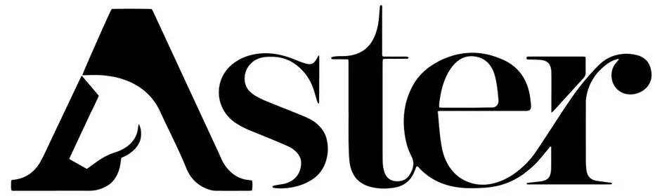 Aster Bits