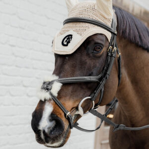 Dy'on Collection Plaited Fig 8 Noseband Bridle Black 1